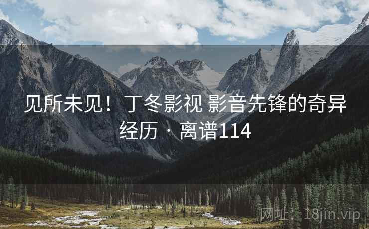 见所未见！丁冬影视 影音先锋的奇异经历 · 离谱114
