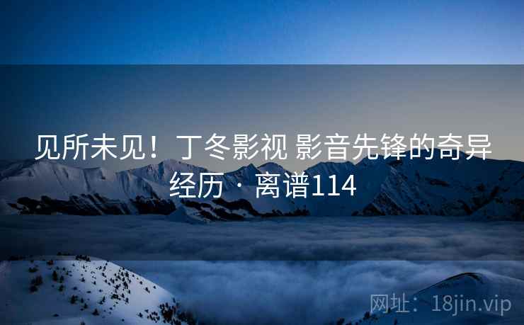 见所未见！丁冬影视 影音先锋的奇异经历 · 离谱114