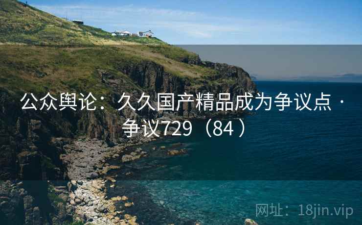 公众舆论：久久国产精品成为争议点 · 争议729（84 ）