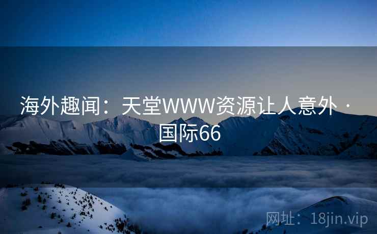 海外趣闻：天堂WWW资源让人意外 · 国际66