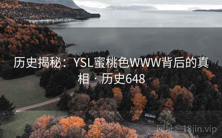历史揭秘：YSL蜜桃色WWW背后的真相 · 历史648