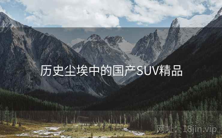 历史尘埃中的国产SUV精品