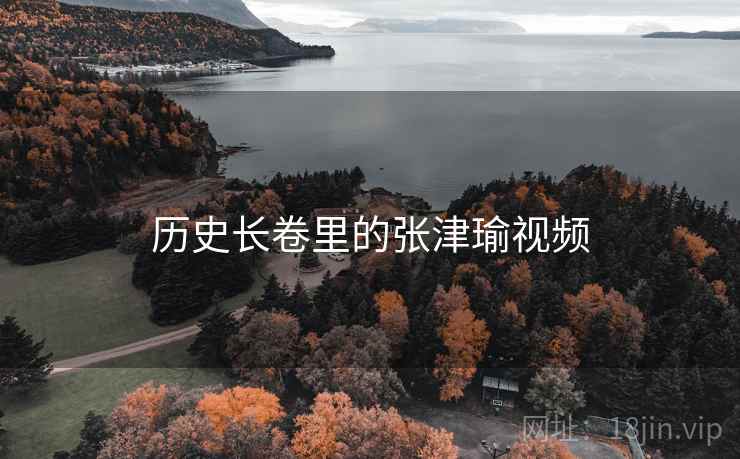 历史长卷里的张津瑜视频